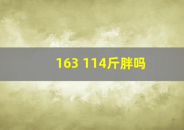 163 114斤胖吗